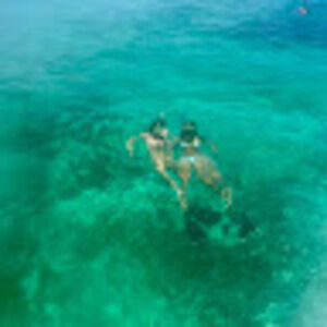 Meet your Posher, Charlotte